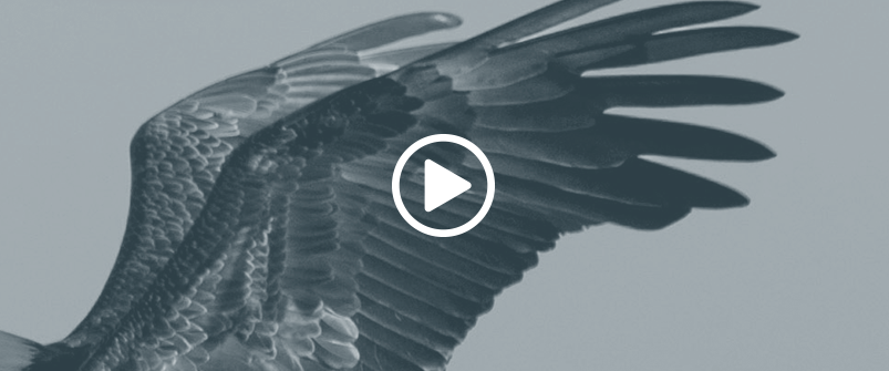 SOAR Like An Eagle: The Key to Fast and Full-Lifecycle Incident Response